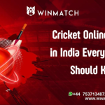 The Impact of the T20I Cricket World Cup 2024 on Indian Cricket