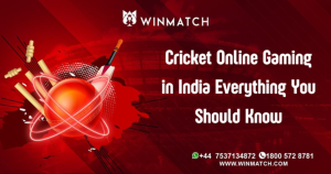 The Impact of the T20I Cricket World Cup 2024 on Indian Cricket